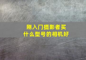 刚入门摄影者买什么型号的相机好