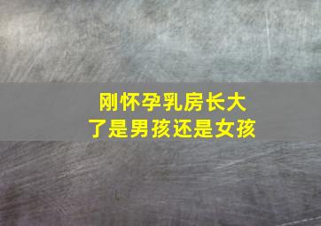 刚怀孕乳房长大了是男孩还是女孩