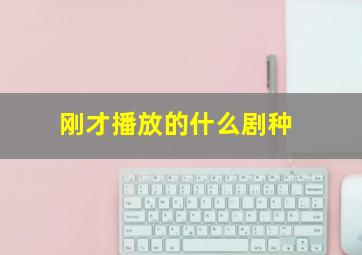 刚才播放的什么剧种