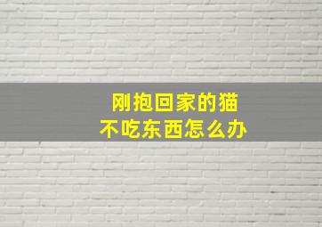 刚抱回家的猫不吃东西怎么办