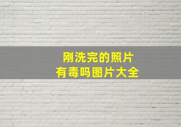 刚洗完的照片有毒吗图片大全