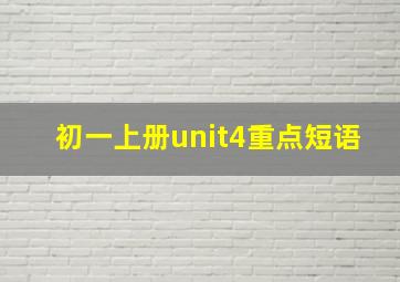 初一上册unit4重点短语