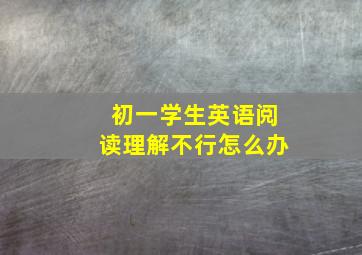 初一学生英语阅读理解不行怎么办