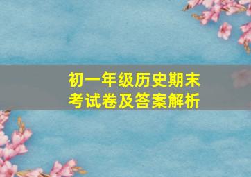 初一年级历史期末考试卷及答案解析