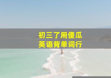 初三了用傻瓜英语背单词行