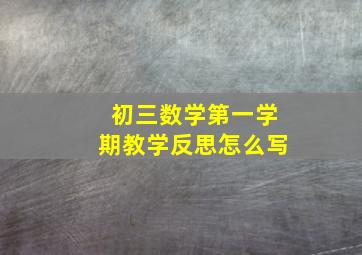 初三数学第一学期教学反思怎么写