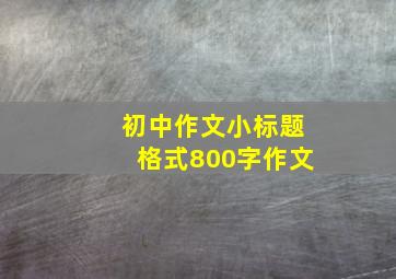 初中作文小标题格式800字作文