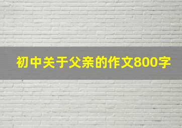 初中关于父亲的作文800字