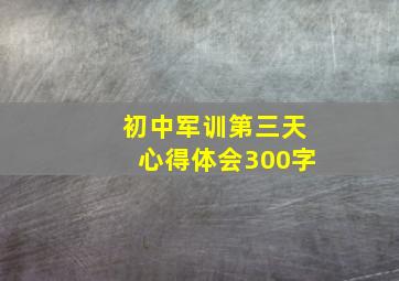 初中军训第三天心得体会300字