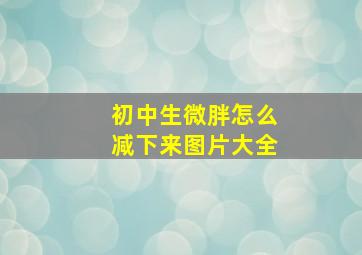 初中生微胖怎么减下来图片大全