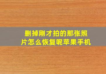 删掉刚才拍的那张照片怎么恢复呢苹果手机