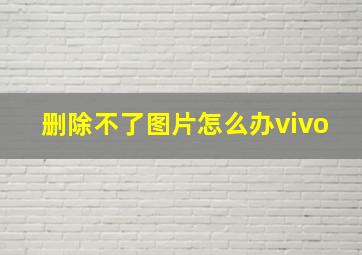 删除不了图片怎么办vivo