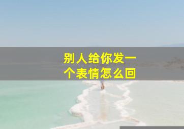 别人给你发一个表情怎么回