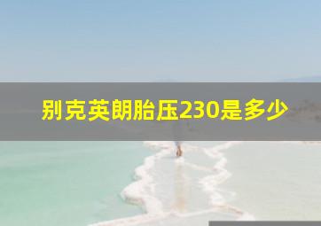 别克英朗胎压230是多少