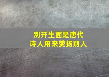 别开生面是唐代诗人用来赞扬别人