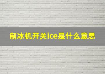 制冰机开关ice是什么意思