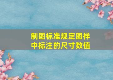 制图标准规定图样中标注的尺寸数值