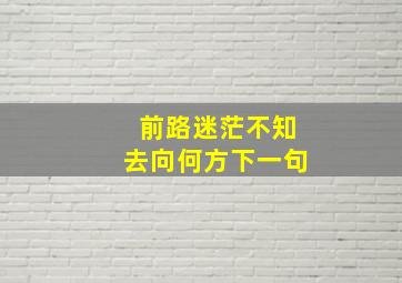 前路迷茫不知去向何方下一句