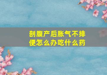 剖腹产后胀气不排便怎么办吃什么药