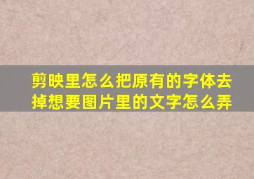 剪映里怎么把原有的字体去掉想要图片里的文字怎么弄