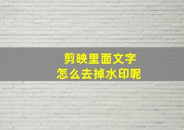 剪映里面文字怎么去掉水印呢