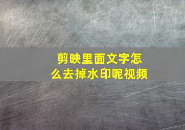 剪映里面文字怎么去掉水印呢视频