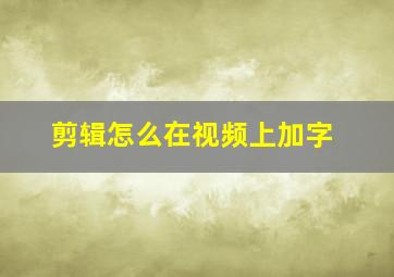 剪辑怎么在视频上加字