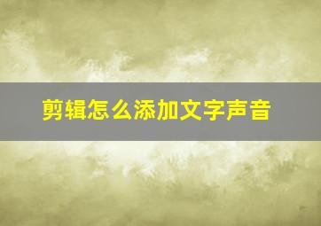 剪辑怎么添加文字声音