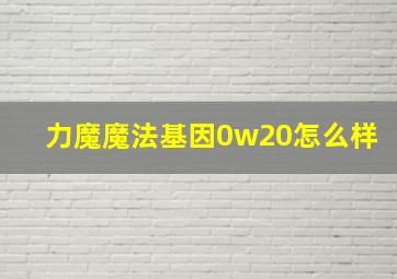 力魔魔法基因0w20怎么样