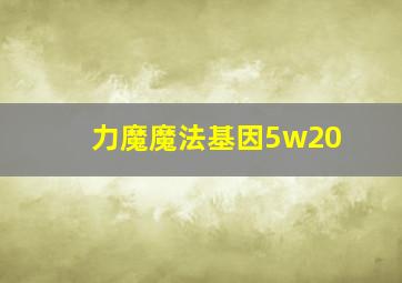 力魔魔法基因5w20