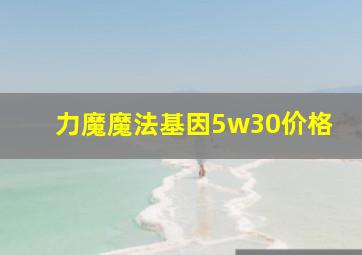 力魔魔法基因5w30价格