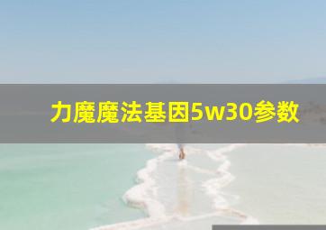 力魔魔法基因5w30参数