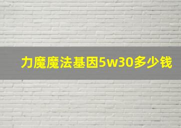 力魔魔法基因5w30多少钱