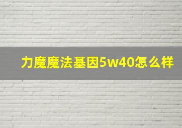 力魔魔法基因5w40怎么样