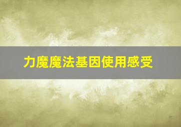 力魔魔法基因使用感受