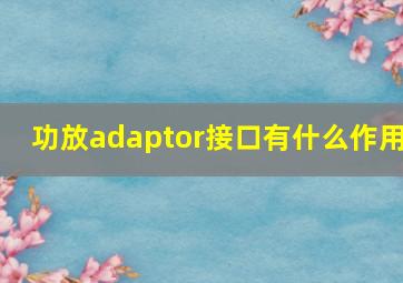 功放adaptor接口有什么作用