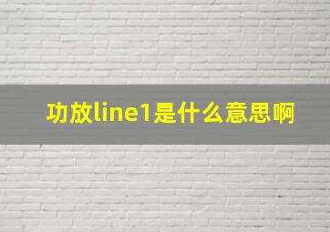 功放line1是什么意思啊