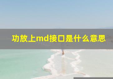 功放上md接口是什么意思