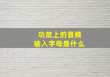 功放上的音频输入字母是什么