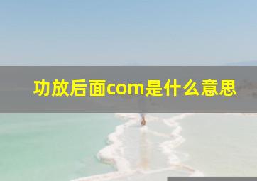 功放后面com是什么意思