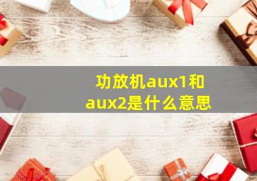 功放机aux1和aux2是什么意思