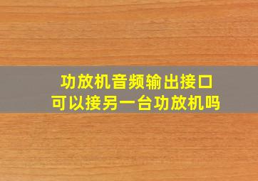 功放机音频输出接口可以接另一台功放机吗