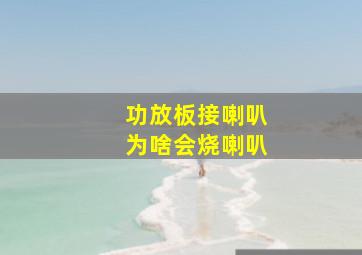 功放板接喇叭为啥会烧喇叭