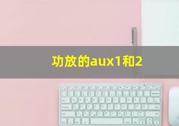 功放的aux1和2