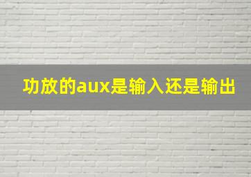 功放的aux是输入还是输出