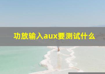 功放输入aux要测试什么