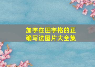 加字在田字格的正确写法图片大全集