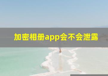 加密相册app会不会泄露