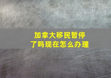 加拿大移民暂停了吗现在怎么办理