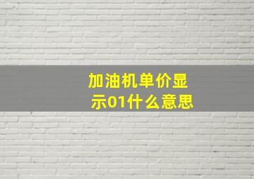 加油机单价显示01什么意思